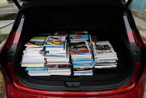 Wegen einer Kältewelle frieren die Niagarafälle zu (1936)