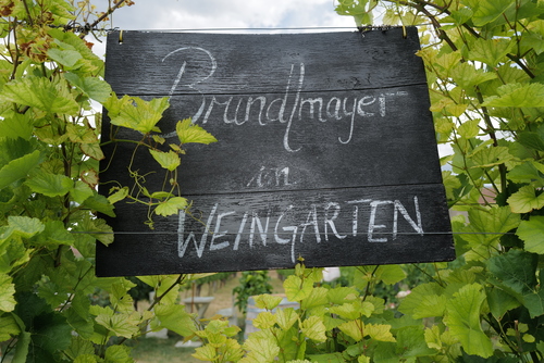 Der deutscher Komiker, Cartoonist und Schauspieler Otto Waalkes wird in Emden genoren (1948) Der deutscher Komiker, Cartoonist und Schauspieler Otto Waalkes wird in Emden genoren (1948)