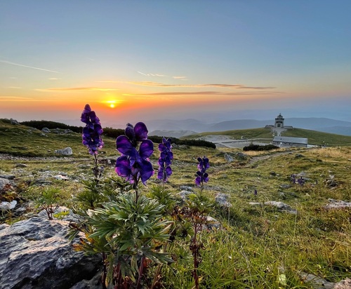 Schneebergbahn-Erlebnis „Alpine Sunrise“ & Saisonstart Nostalgie-Dampfzug