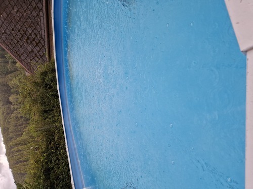 Wolfgang Amadeus Mozart heiratet Constanze Weber in Wien (1782)