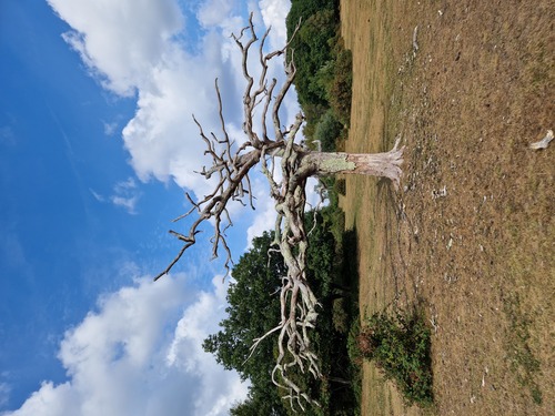 Das Space Shuttle Discovery startet zu seinem Erstflug (1984)