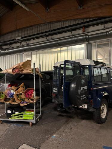 Das erste Gaisbergrennen bei Salzburg findet statt (1929)