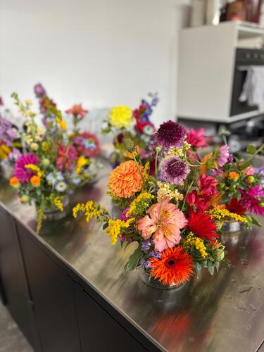 Das erste Gaisbergrennen bei Salzburg findet statt (1929)