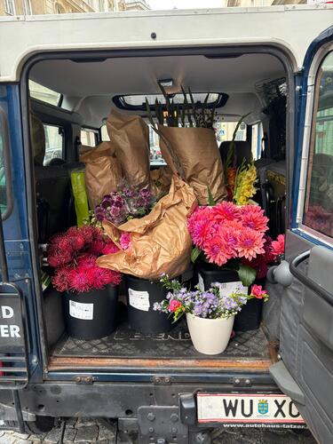 Das erste Gaisbergrennen bei Salzburg findet statt (1929)