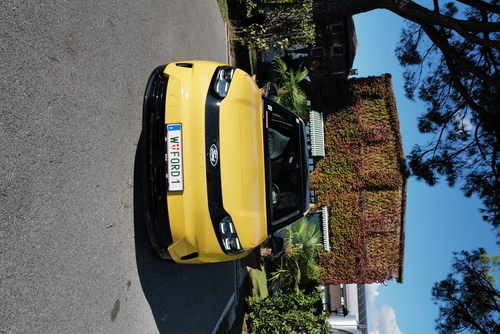 Tag der Vereinten Nationen