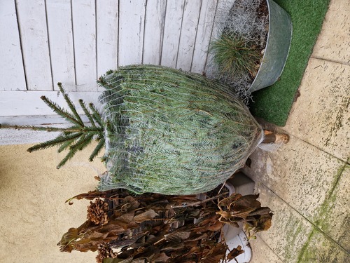 Der österreichische Rennfahrer Karl Wendlinger wird in Kufstein geboren (1968)
