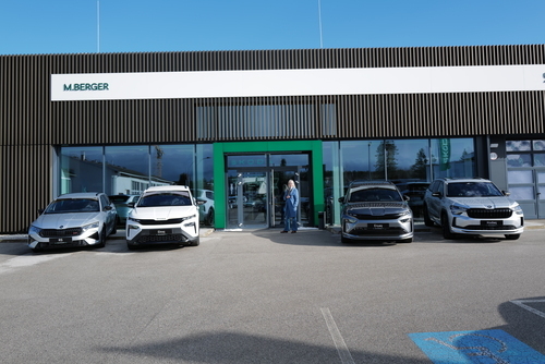 DuPont stellt die ersten Zahnbürsten mit Nylon-Borsten her (1938)