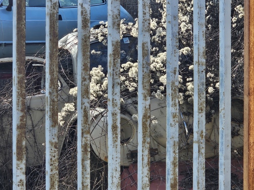 Pink Floyd veröffentlicht sein Album "Dark Side Of The Moon" (1973)