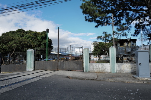 Die Serienproduktion des VW Typ 2 - des VW Bulli - beginnt (1950)