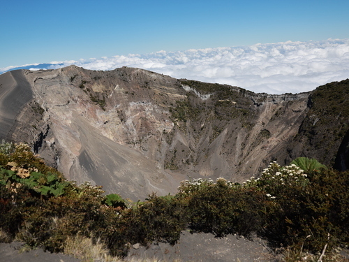 Die Serienproduktion des VW Typ 2 - des VW Bulli - beginnt (1950)