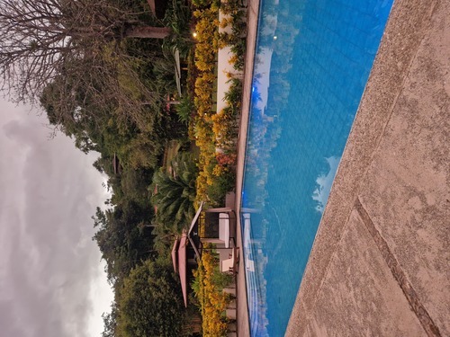 Der österreichischer Fußballspieler Toni Polster wird in Wien geboren (1964)