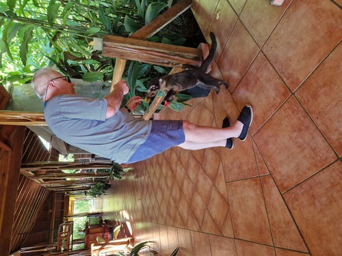 Der italienische Rennfahrer Arturo Merzario wird in Civenna (CO) geboren (1943)