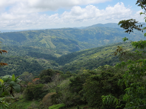Der italienische Rennfahrer Arturo Merzario wird in Civenna (CO) geboren (1943)