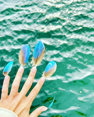 SOHO in Ottakring-Projekte in Kooperation mit KLIMA BIENNALE WIEN 2026