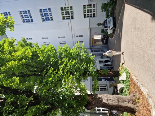 Freitag, 29. Mai 2026