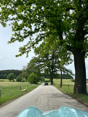 Donnerstag,  4. Juni 2026