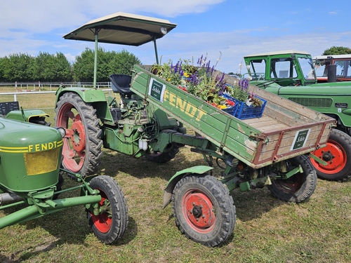 Sonntag,  7. Juni 2026