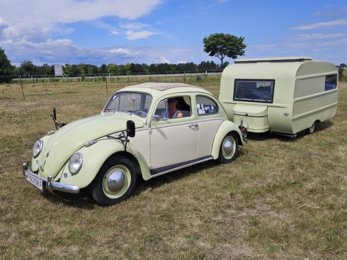 Sonntag,  7. Juni 2026
