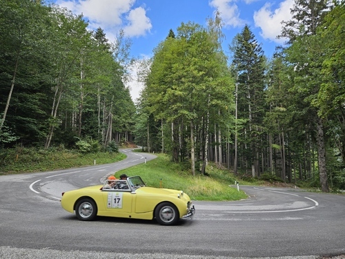 Die Rollfähre Korneuburg-Klosterneuburg wird feierlich eröffnet (1935)