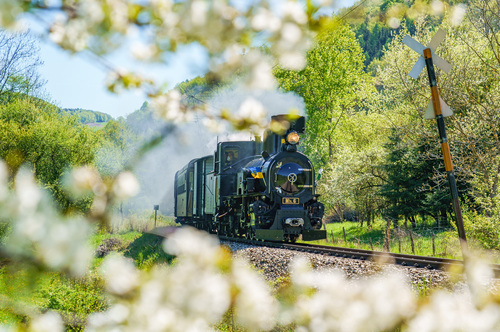 Mariazellerbahn feiert Erfolgsjahr als „Schönster Platz Österreichs 2025“