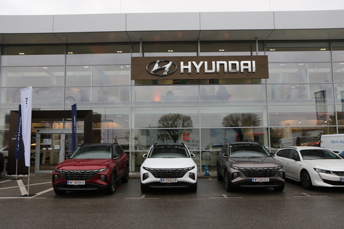 Tag der Menschenrechte