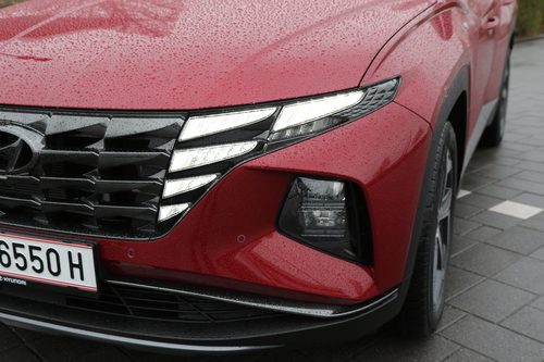 Tag der Menschenrechte